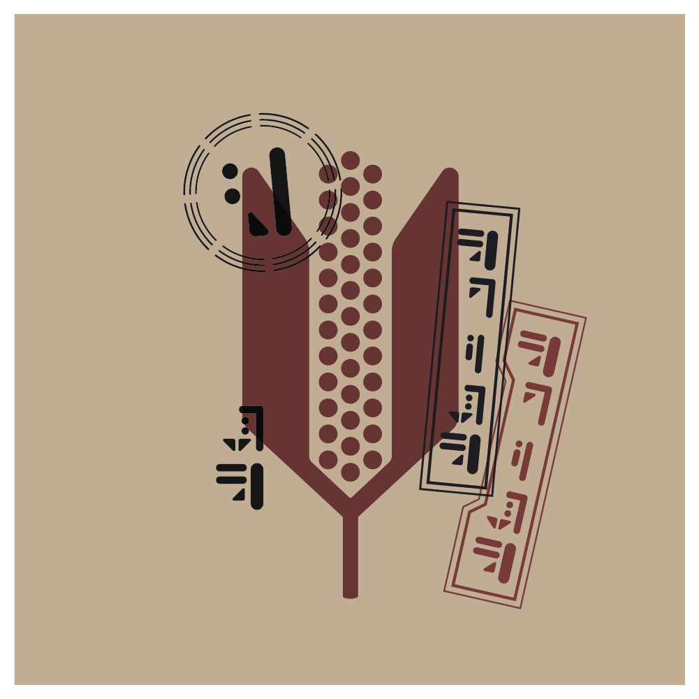 Andor S02 Vectors