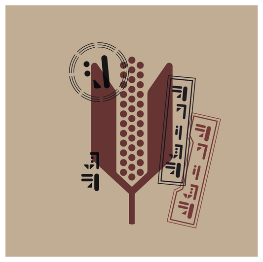 Andor S02 Vectors